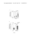 USE OF NUCLEOLIN AS A BIOMARKER FOR LYMPHANGIOGENESIS IN A CANCER     PROGNOSIS AND THERAPY diagram and image