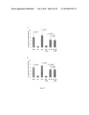 USE OF NUCLEOLIN AS A BIOMARKER FOR LYMPHANGIOGENESIS IN A CANCER     PROGNOSIS AND THERAPY diagram and image