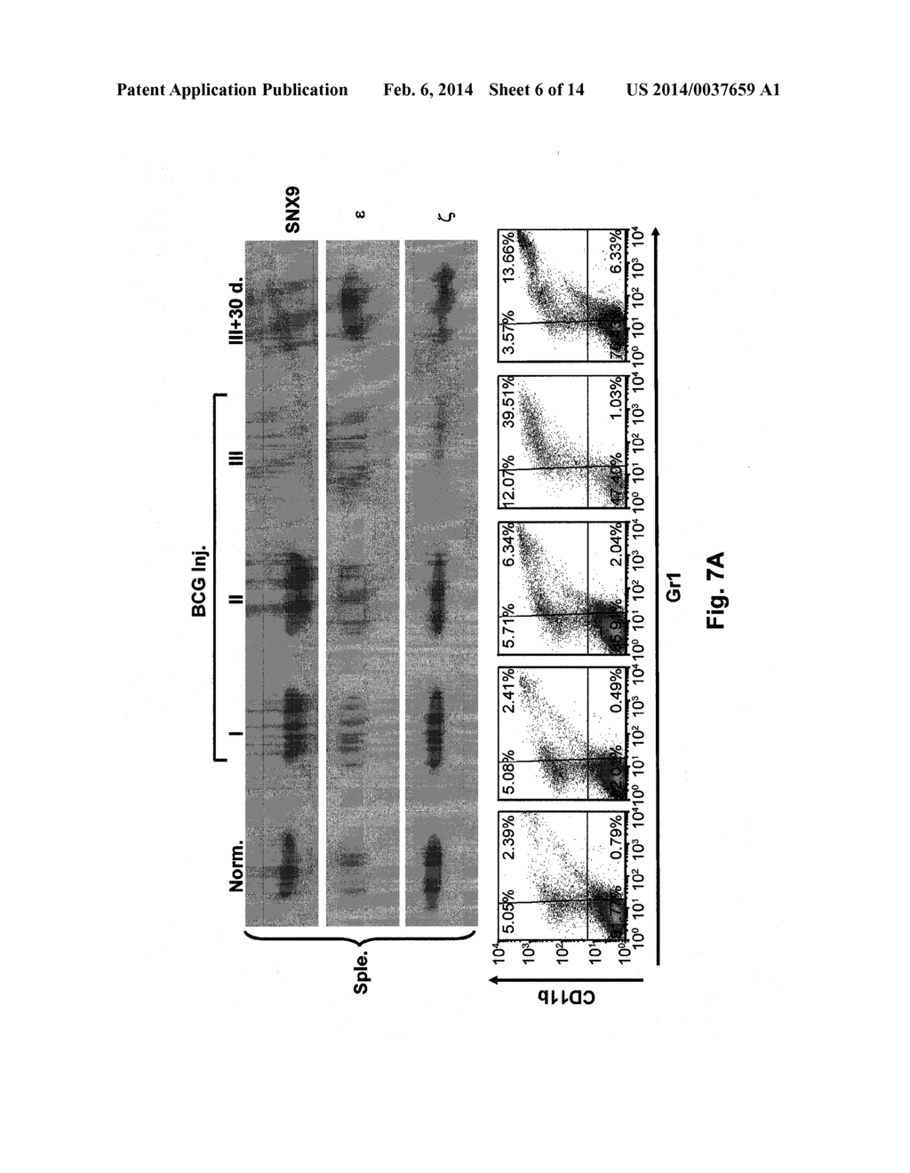 SNX9 AS A NOVEL BIOMARKER FOR CHRONIC INFLAMMATION AND ASSOCIATED     IMMUNOSUPPRESION AND A NEW REGULATOR OF T CELL RECEPTOR EXPRESSION AND     FUNCTION - diagram, schematic, and image 07