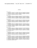 Detection of Mutations in a Gene Associated with Resistance to Viral     Infection, OAS1 diagram and image