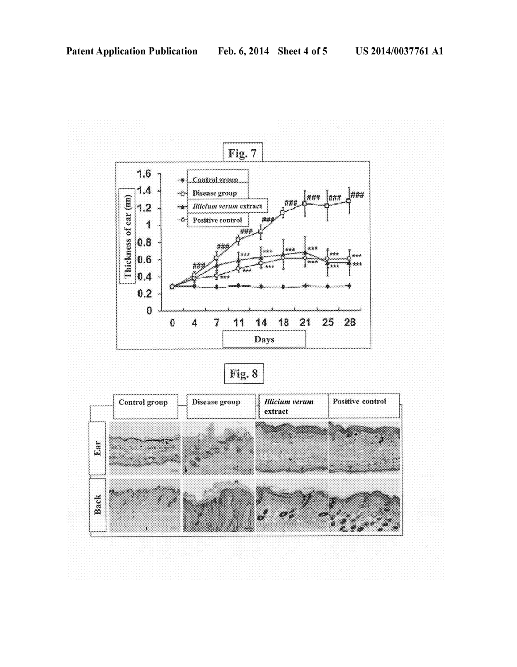 METHOD FOR PREVENTING OR TREATING AN ALLERGIC DISEASE USING EXTRACT FROM     ILLICIUM VERUM - diagram, schematic, and image 05