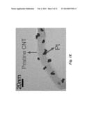 Carbon Nanotube Enabled Hydrophobic-Hydrophilic Composite Interfaces and     Methods of Their Formation diagram and image