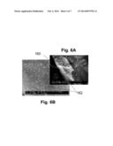 ANCHORED NANOSTRUCTURE MATERIALS AND METHOD OF FABRICATION diagram and image