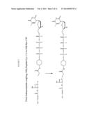 CIS Reactive Oxygen Quenchers Integrated into Linkers diagram and image