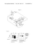 REAGENT AND REAGENT KIT FOR ANALYSIS OF IMMATURE LEUKOCYTE diagram and image