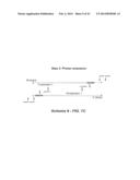 POLYNUCLEOTIDE PRIMERS AND PROBES diagram and image