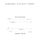 POLYNUCLEOTIDE PRIMERS AND PROBES diagram and image