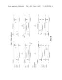 POLYNUCLEOTIDE PRIMERS AND PROBES diagram and image