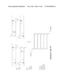 POLYNUCLEOTIDE PRIMERS AND PROBES diagram and image