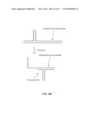 POLYNUCLEOTIDE PRIMERS AND PROBES diagram and image