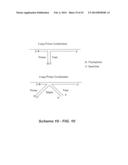 POLYNUCLEOTIDE PRIMERS AND PROBES diagram and image