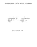 POLYNUCLEOTIDE PRIMERS AND PROBES diagram and image