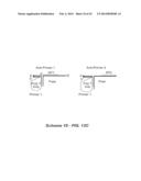 POLYNUCLEOTIDE PRIMERS AND PROBES diagram and image