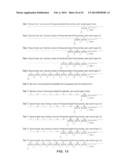 POLYNUCLEOTIDE PRIMERS AND PROBES diagram and image