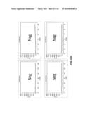 POLYNUCLEOTIDE PRIMERS AND PROBES diagram and image