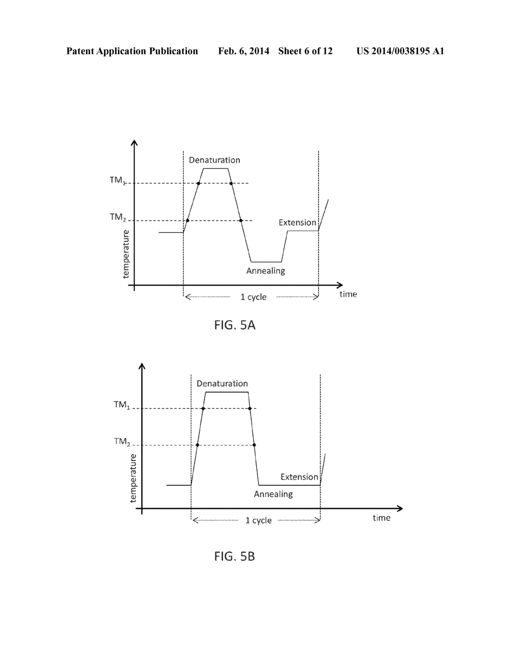 MULTIPLEXING AND QUANTIFICATION IN PCR WITH REDUCED HARDWARE AND     REQUIREMENTS - diagram, schematic, and image 07