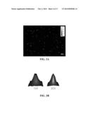 IMAGE ANALYSIS AND MEASUREMENT OF BIOLOGICAL SAMPLES diagram and image