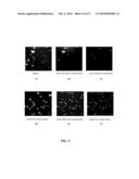 IMAGE ANALYSIS AND MEASUREMENT OF BIOLOGICAL SAMPLES diagram and image