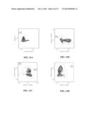 IMAGE ANALYSIS AND MEASUREMENT OF BIOLOGICAL SAMPLES diagram and image