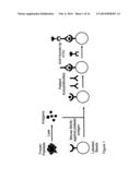 PLATELET ANALYSIS SYSTEM diagram and image