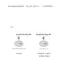 PREPARATION OF ANTI-PEG ANTIBODY EXPRESSING CELL AND APPLICATION THEREOF diagram and image