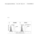 PREPARATION OF ANTI-PEG ANTIBODY EXPRESSING CELL AND APPLICATION THEREOF diagram and image