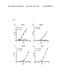 PREPARATION OF ANTI-PEG ANTIBODY EXPRESSING CELL AND APPLICATION THEREOF diagram and image