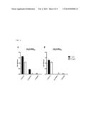 PREPARATION OF ANTI-PEG ANTIBODY EXPRESSING CELL AND APPLICATION THEREOF diagram and image