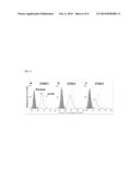 PREPARATION OF ANTI-PEG ANTIBODY EXPRESSING CELL AND APPLICATION THEREOF diagram and image