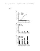 PREPARATION OF ANTI-PEG ANTIBODY EXPRESSING CELL AND APPLICATION THEREOF diagram and image