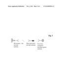 ANTI-HUMAN IgG1 ANTIBODY diagram and image