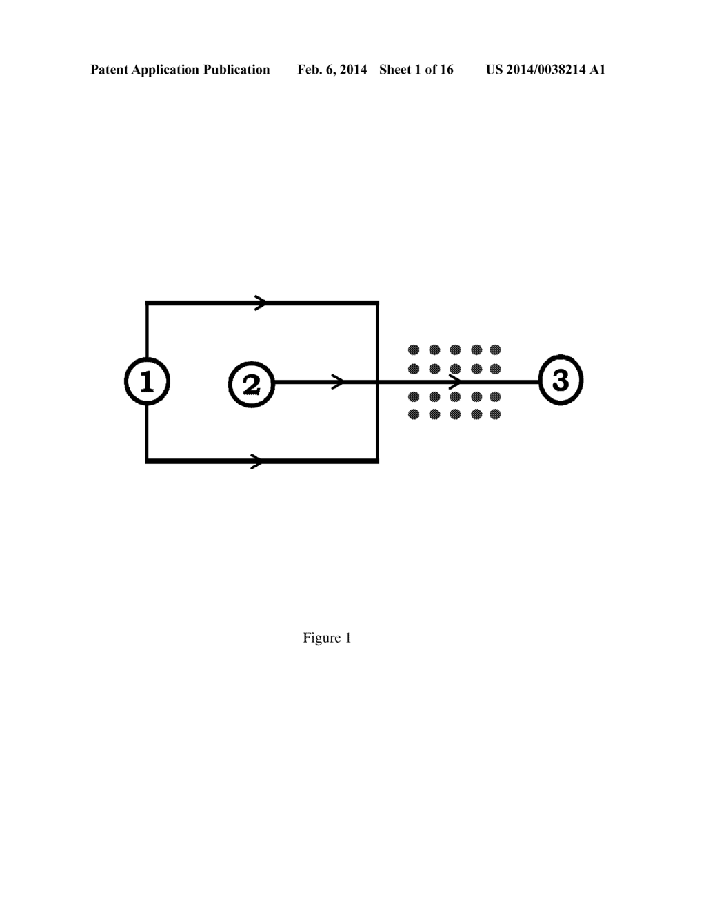 MICROFLUIDIC FLOW ASSAY AND METHODS OF USE - diagram, schematic, and image 02