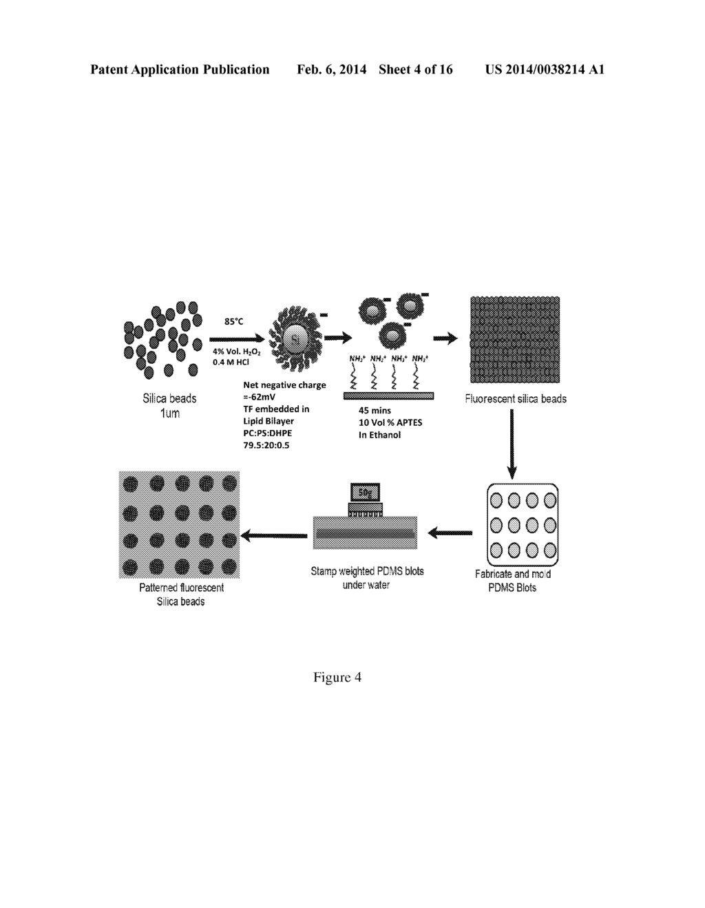 MICROFLUIDIC FLOW ASSAY AND METHODS OF USE - diagram, schematic, and image 05