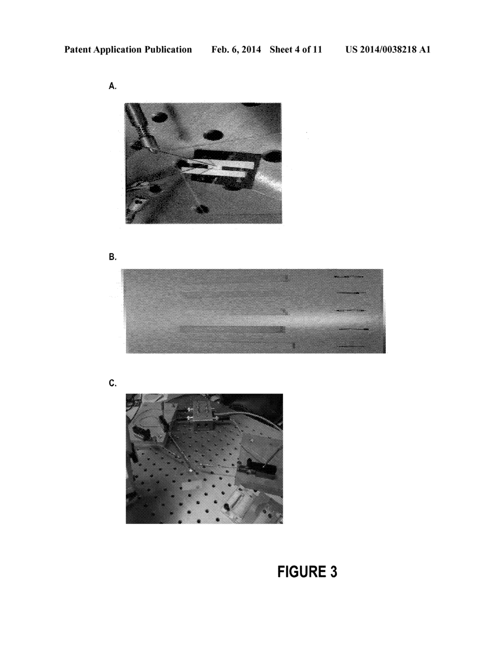 PROTEOLYSIS DETECTION - diagram, schematic, and image 05