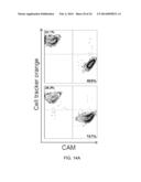 ISOLATION AND CHARACTERIZATION OF TUMOR CELLS USING SHEAR STRESS     MEASUREMENTS diagram and image