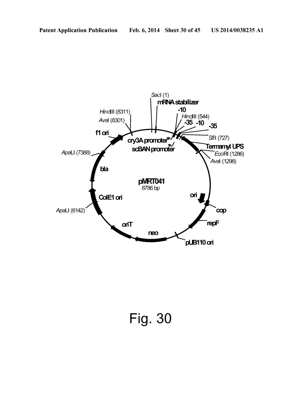 Methods For Producing Hyaluronan In A Recombinant Host Cell - diagram, schematic, and image 31