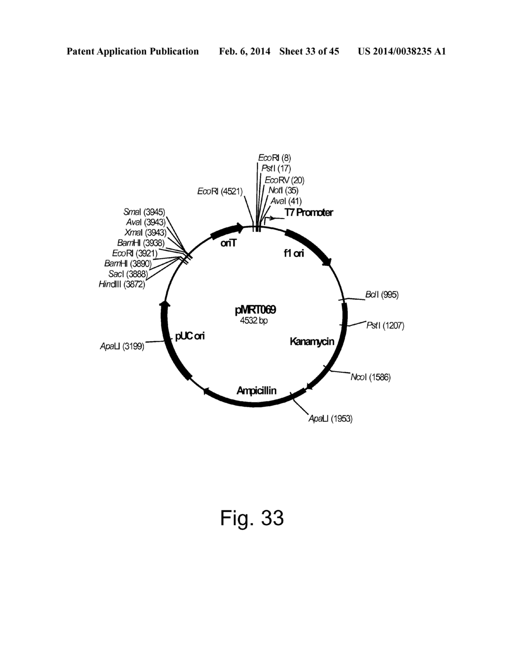 Methods For Producing Hyaluronan In A Recombinant Host Cell - diagram, schematic, and image 34