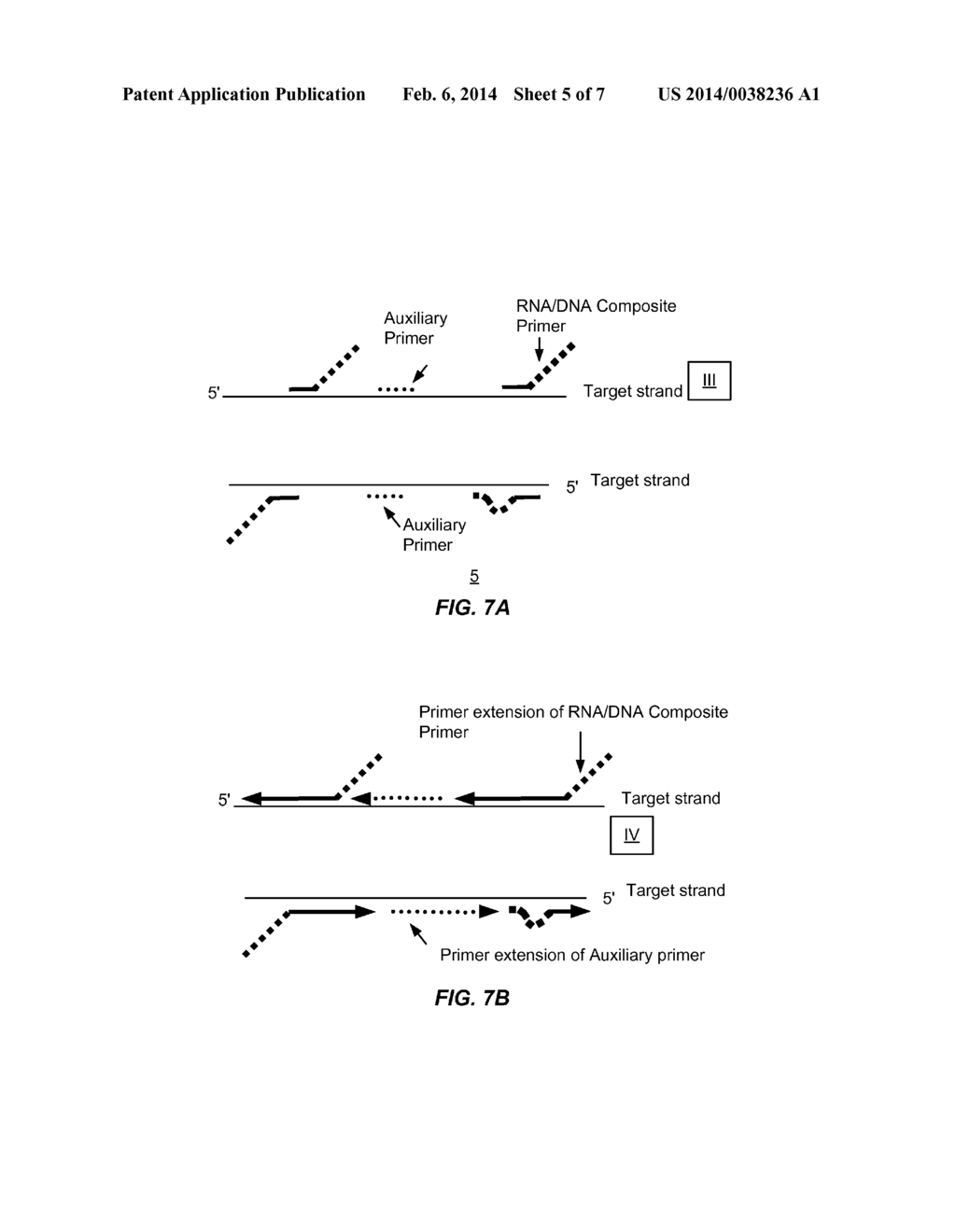 Global Amplification Using a Randomly Primed Composite Primer - diagram, schematic, and image 06