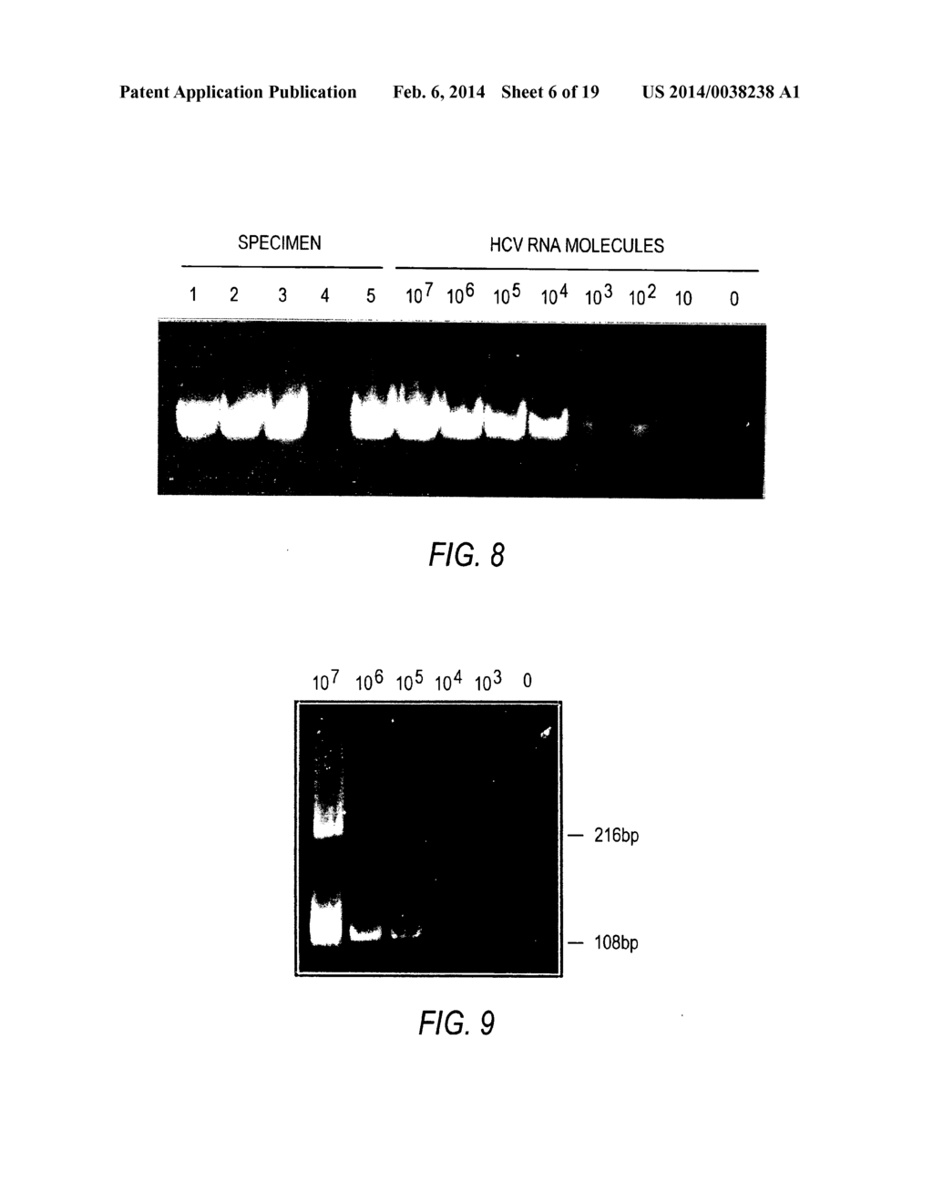 NUCLEIC ACID AMPLIFICATION METHODS - diagram, schematic, and image 07