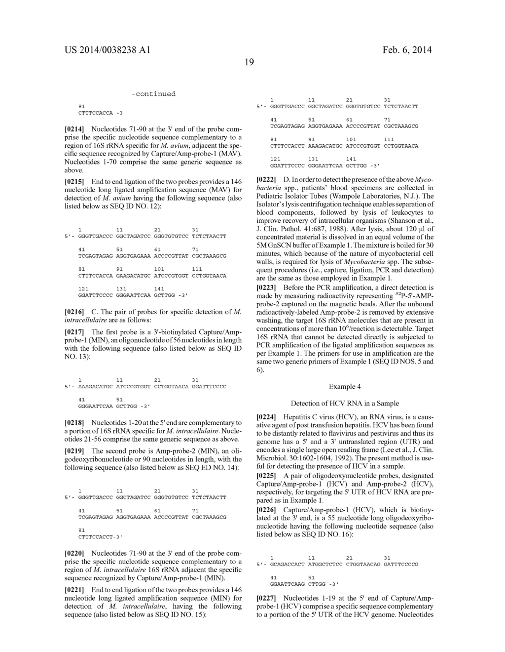 NUCLEIC ACID AMPLIFICATION METHODS - diagram, schematic, and image 39