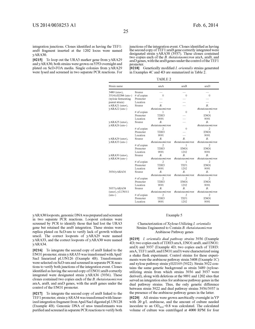 COMPOSITIONS AND METHODS FOR INCREASED ETHANOL PRODUCTION FROM BIOMASS - diagram, schematic, and image 61