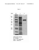 NOVEL PAENIBACILLUS SP. HPL-001 STRAIN FOR PRODUCING HIGHLY ACTIVE     XYLANASE HAVING HEAT RESISTANCE AND A WIDE PH RANGE, NOVEL XYLANASE     ENZYME ISOLATED THEREFROM, AND METHOD FOR MASS-PRODUCING SAME USING A     TRANSFORMANT THEREOF diagram and image