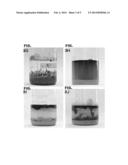 OIL ABSORBENT COMPOSITION diagram and image