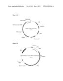 Activity of Fe-S Cluster Requiring Proteins diagram and image