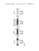 Tol1 FACTOR TRANSPOSASE AND DNA INTRODUCTION SYSTEM USING THE SAME diagram and image