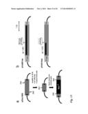 Tol1 FACTOR TRANSPOSASE AND DNA INTRODUCTION SYSTEM USING THE SAME diagram and image