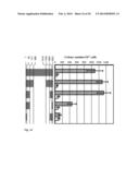 Tol1 FACTOR TRANSPOSASE AND DNA INTRODUCTION SYSTEM USING THE SAME diagram and image