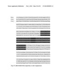 Tol1 FACTOR TRANSPOSASE AND DNA INTRODUCTION SYSTEM USING THE SAME diagram and image