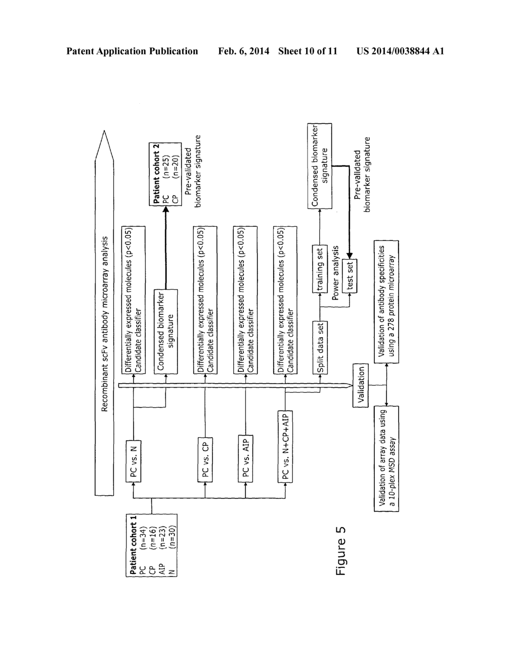 Method, Array and Use for Determining the Presence of Pancreatic Cancer - diagram, schematic, and image 11