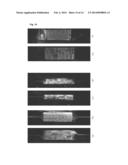 DEVICE AND METHOD FOR THE GENERATION OF MOLECULAR MICROARRAYS diagram and image